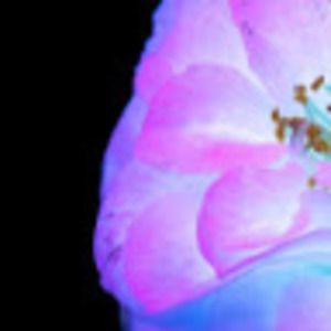 Meet your Posher, Lyette